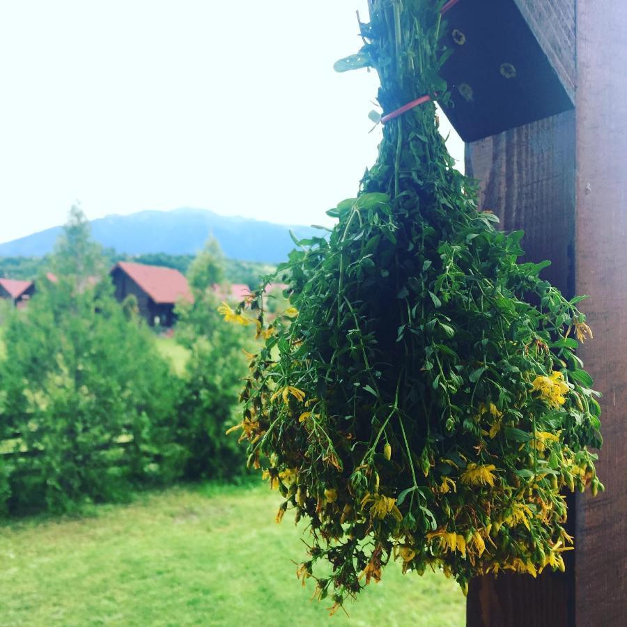 Bran White Clouds House And Chalet Kültér fotó