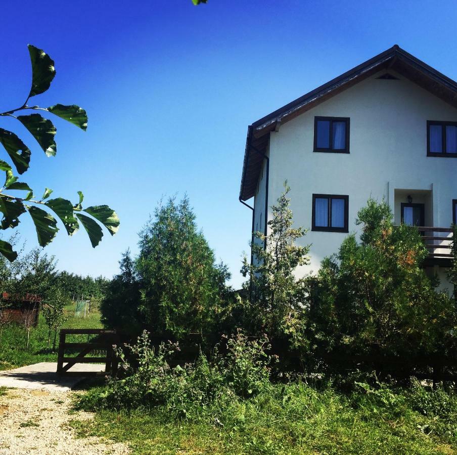 Bran White Clouds House And Chalet Kültér fotó