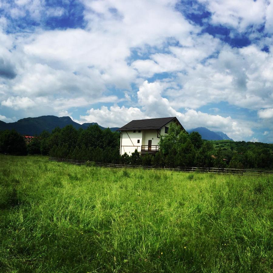 Bran White Clouds House And Chalet Kültér fotó